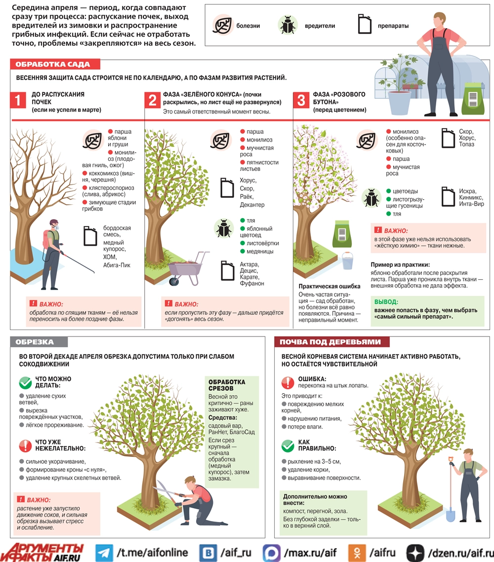Нажмите для увеличения