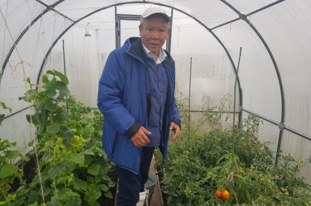 Ямалец Михаил Окотэттто в своей теплице вырастил огурцы и помидоры