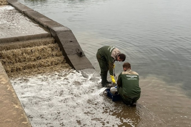 Специалисты взяли пробы с места слива вод в реку, но результатов пока нет.