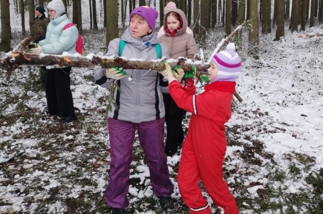 Так расчищали лес в Ясной Поляне.