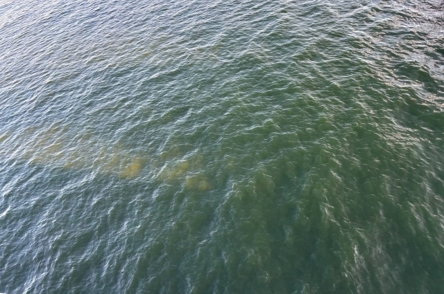 Подземные колодцы Кабула высыхают, поэтому власти Афганистана просят у Татарстана помощи по переброске воды.