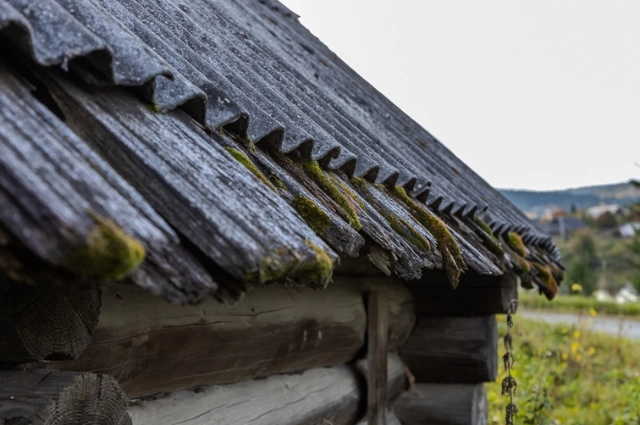 Купил гору за 35 рублей. Как возник «железнодорожный» посёлок Шаля