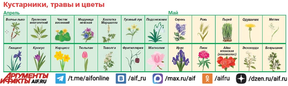 Нажмите для увеличения