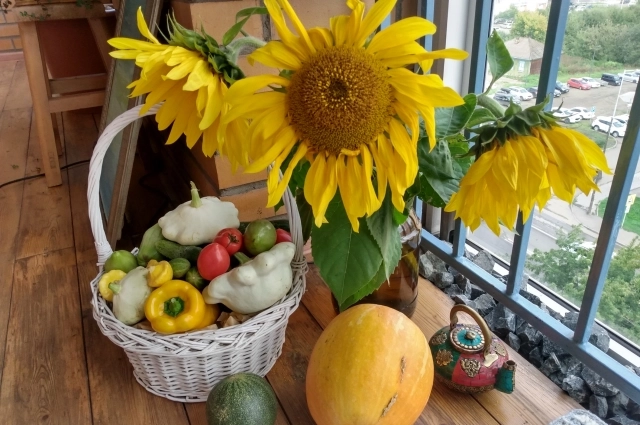 Хозяевам разрешено наводить красоту на уличной части квартиры, а не разводить хлам и грязь.