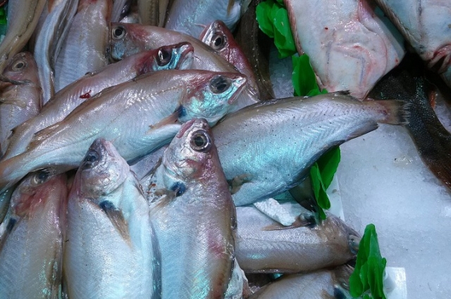 Путассу - одна из самых недорогих рыб.