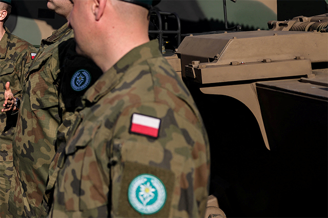 Польские наемники