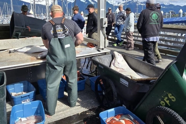 Можно ловить рыбу с берега, для туристов организовывают рыбалку в порту на катерах.