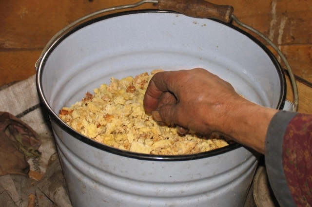 Сушёный творог, который делает Агафья Лыкова.