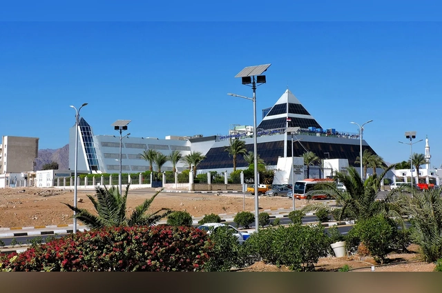 Обращения направлены в Министерство здравоохранения РФ, МИД, консульские службы.