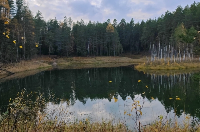 В Медведском бору есть красивейшее озеро Чваниха.