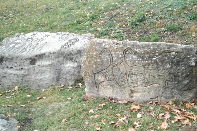 Камни с петроглифами. Такие же есть в заповеднике Гобустан (Азербайджан).