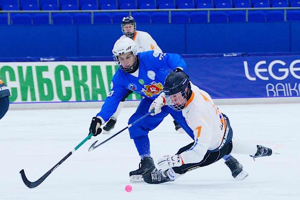 В прошедшем сезоне 2022/2023 высокие результаты показала юниорская сборная Иркутской области по хоккею с мячом.