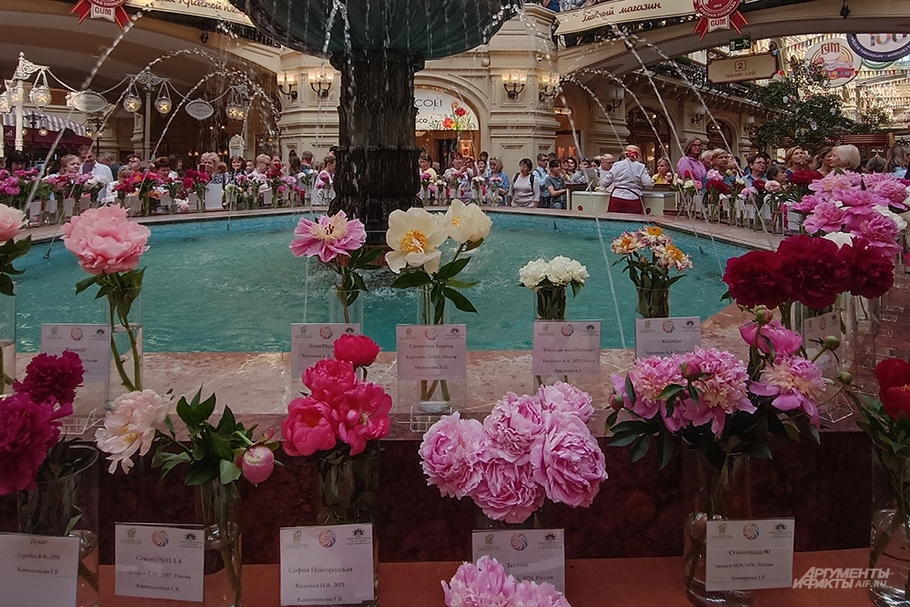 Первая выставка пионов на Красной площади в ГУМе.