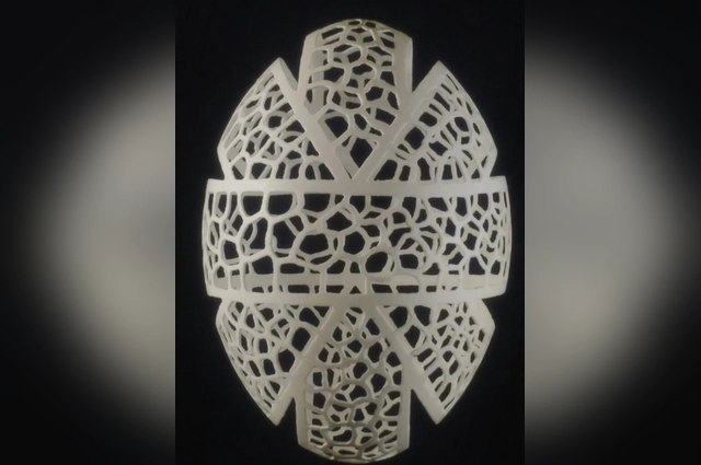 «Кружевная» скорлупа.