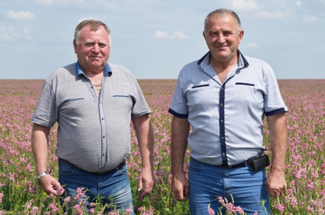 «Смотрите, какая красота уродилась!» - говорит Николай Коробкин (на фото слева).