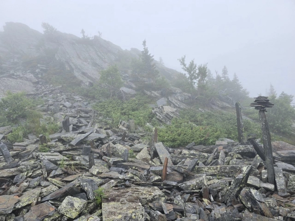 Любовь к природе помогала преодолевать сложности.