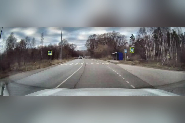 Псы напали на ребенка возле остановки общественного транспорта.