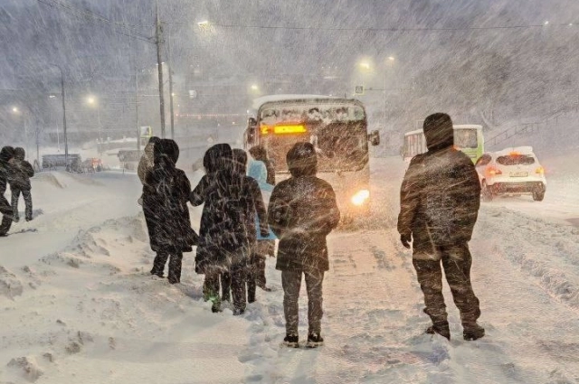 К вечеру снова повалит снег.