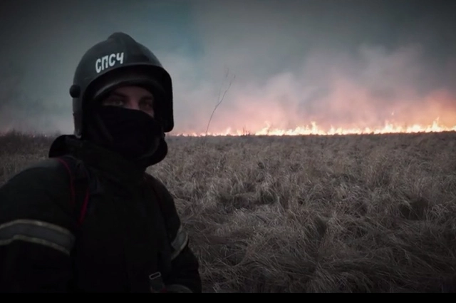 Пожарные, пожар, ландшафтный пожар