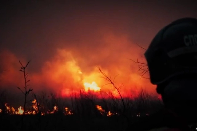 Пожарные, пожар, ландшафтный пожар