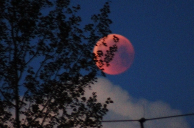 Покрасневшая Луна выглядит очень эффектно.