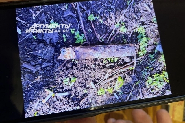 Мина-бревно