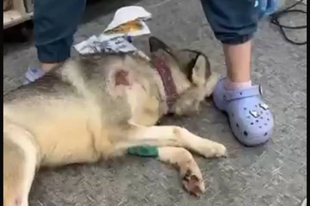 К счастью, сейчас Кате намного лучше, она может самостоятельно есть.