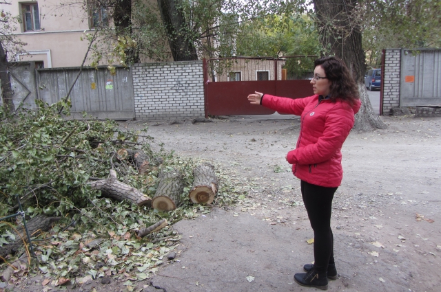 Аварийные деревья - обычное явление во дворах брянских домов.