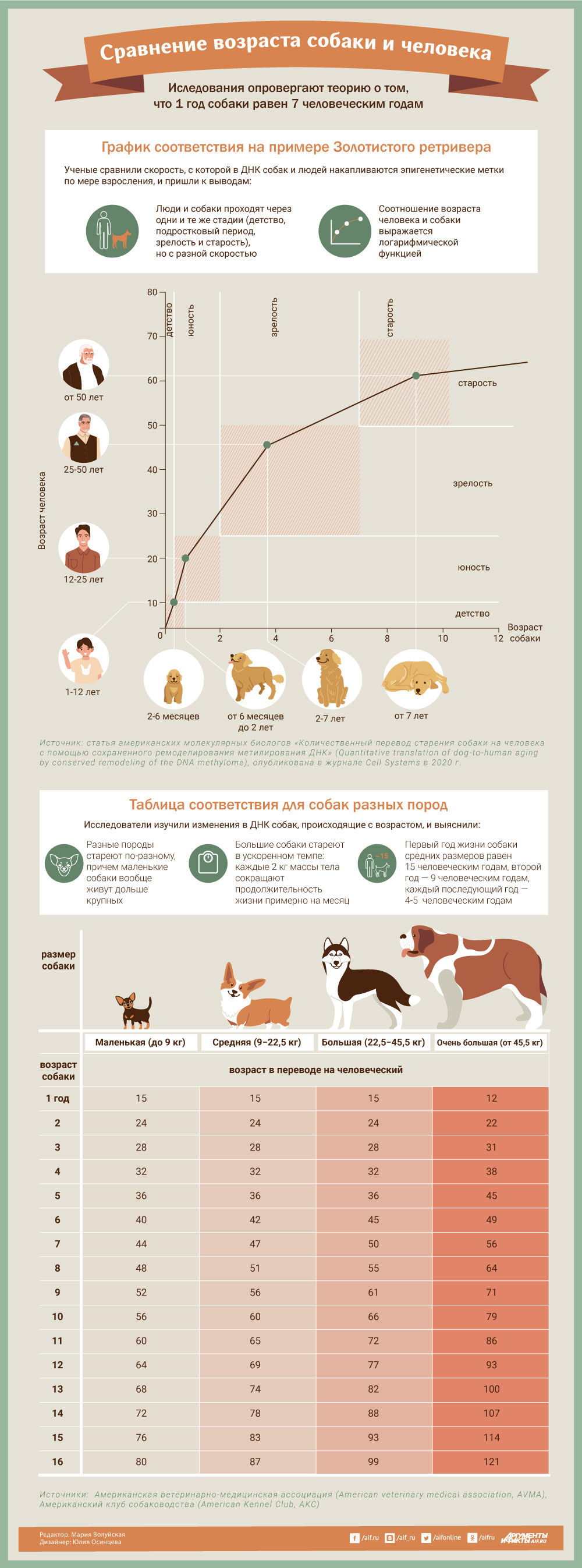 Сравнение возраста собаки и человека. Инфографика | Природа | Общество |  Аргументы и Факты