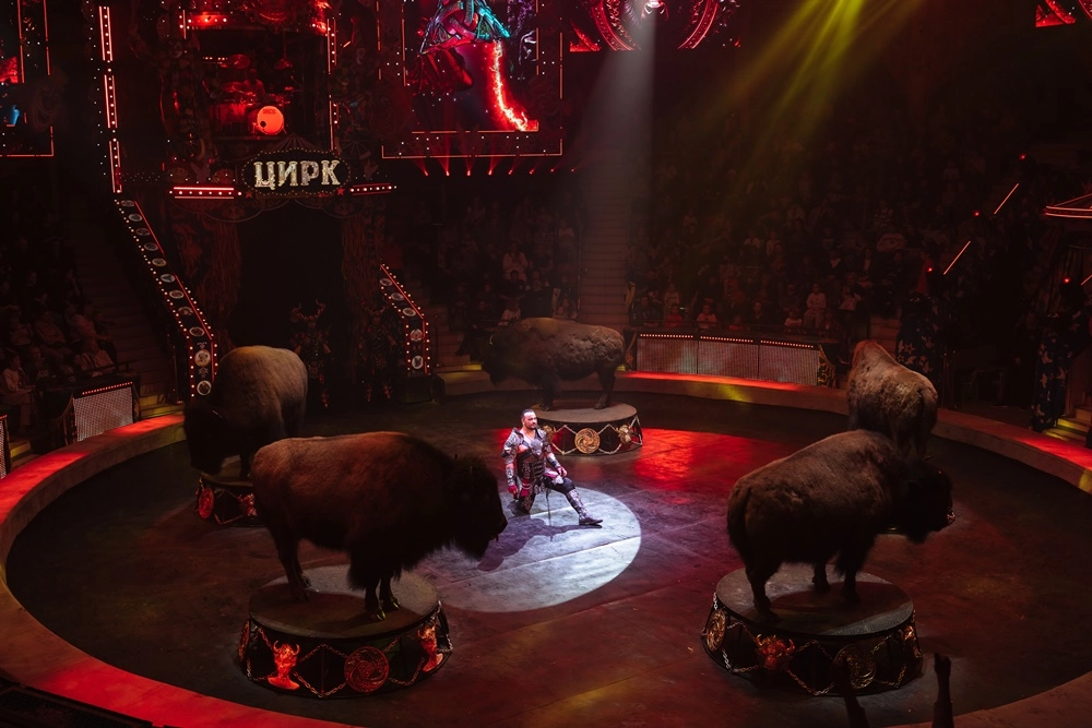 шоу 5 континентов