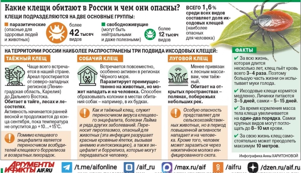 Нажмите для увеличения