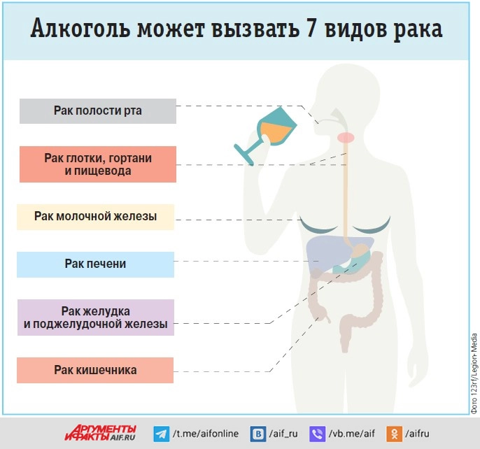 Пьём не за здоровье. Как связаны онкологические заболевания и алкоголь
Пьём не за здоровье. Как связаны онкологические заболевания и алкоголь