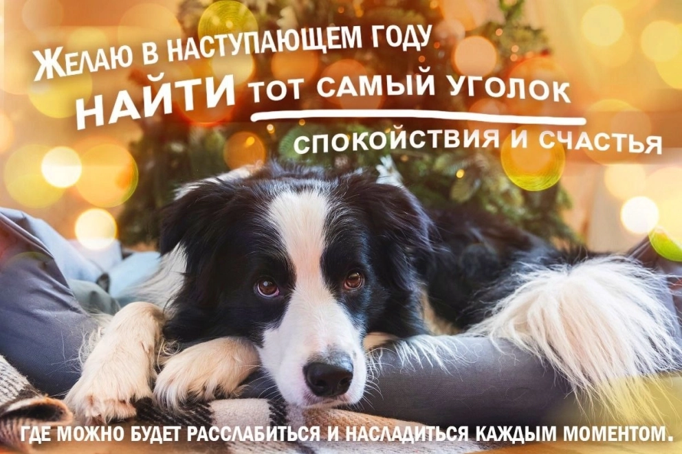 Новогодние открытки 2026 год скачать