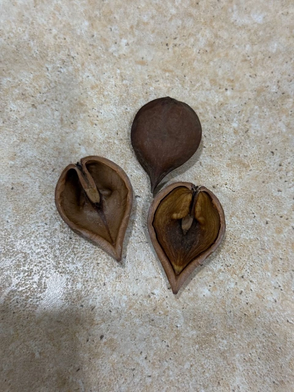 Содержимое скорлупы не пострадало!