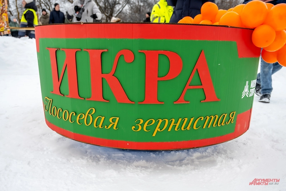 На фестивале можно было встретить вот такие необычные сани.