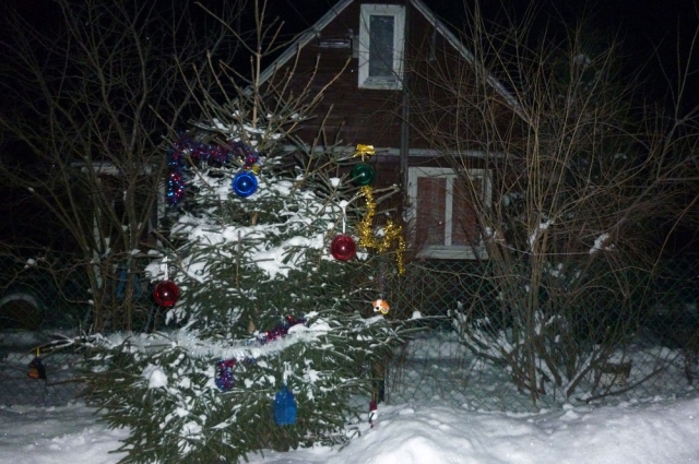 Ель рубить не нужно, а любоваться новогодними гирляндами и шарами могут не только владельцы участка, но и их соседи.