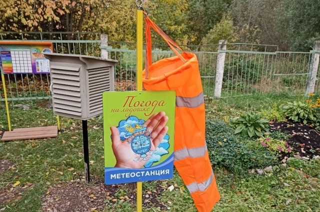 На метеостанции могут заниматься все воспитанники детсада.