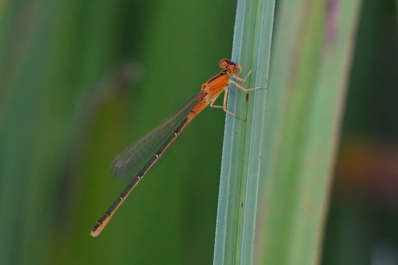 Стрелка маленькая.