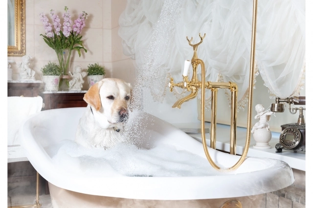 Иногда незапланированный кадр может получиться самым удачным, считает Елена