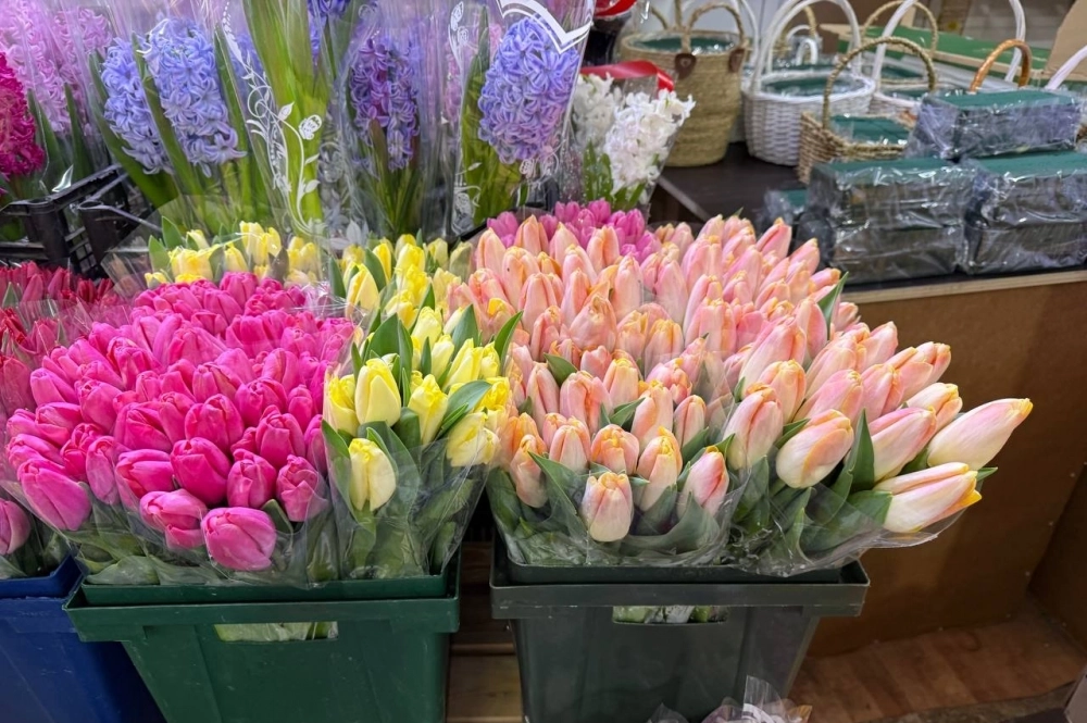 Тюльпаны в среднем стоят по 150 рублей за цветок.