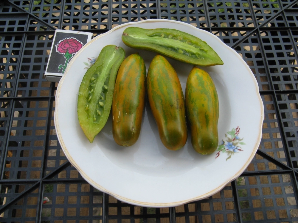 Зеленая сосиска.