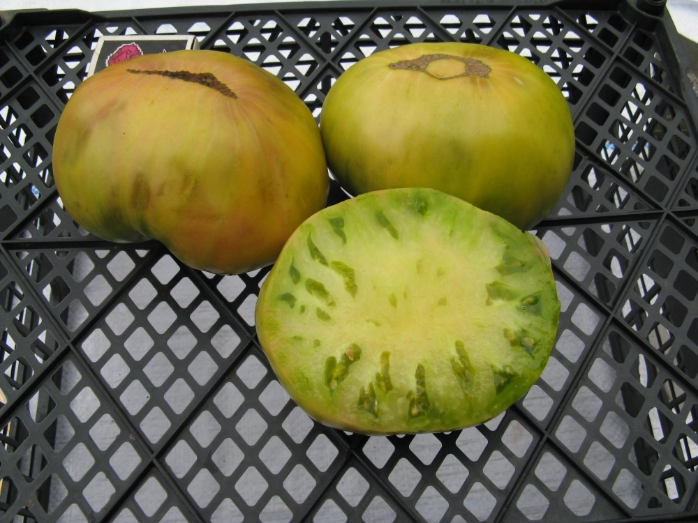 Изумрудный гигант.