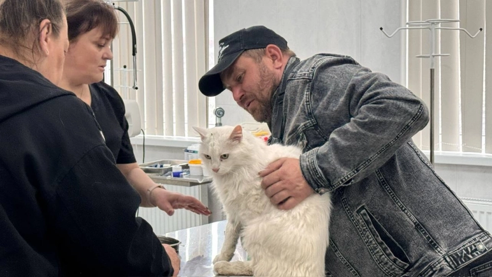 Боню осмотрели, взяли необходимые анализы.