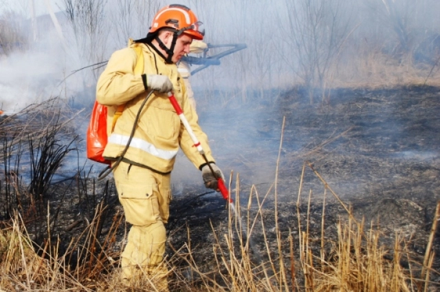 Лесной пожар, пожарный