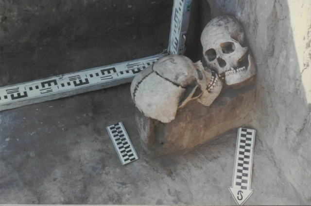 Отдельно захороненные головы