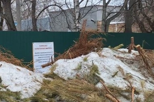 Забор, которым огорожен сквер, со всех сторон обвешан объявлениями, рассказывающими о карантине из-за ясеневой златки.