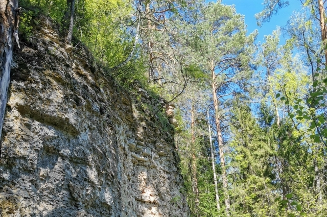 Скалы на р. Немда