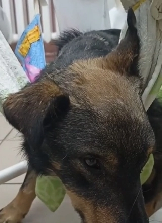 Бой всеми силами цепляется за жизнь