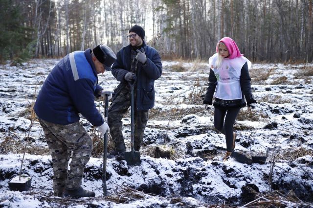 Екатеринбургские активисты присоединились к акции «Сохраним лес»