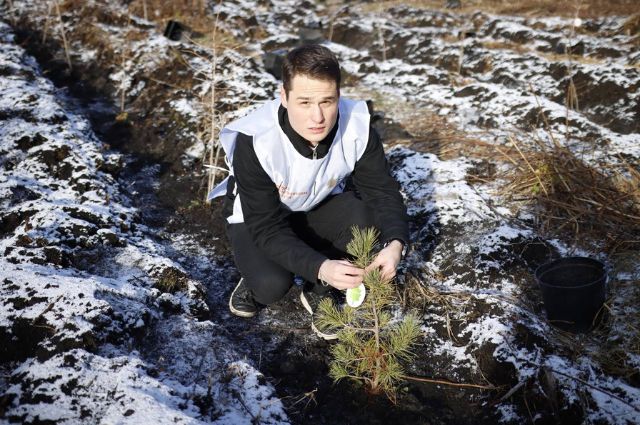 Екатеринбургские активисты присоединились к акции «Сохраним лес»